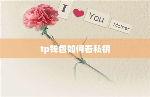tp钱包如何看私钥