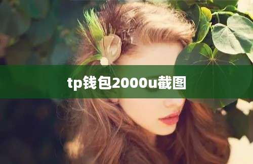 tp钱包2000u截图