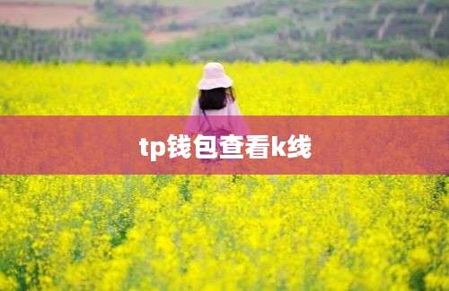 tp钱包查看k线