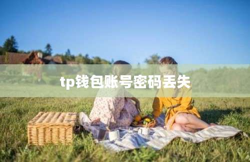 tp钱包账号密码丢失