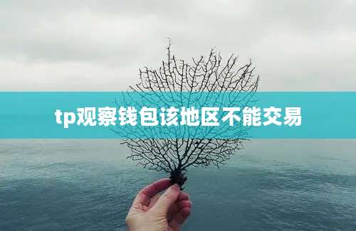tp观察钱包该地区不能交易
