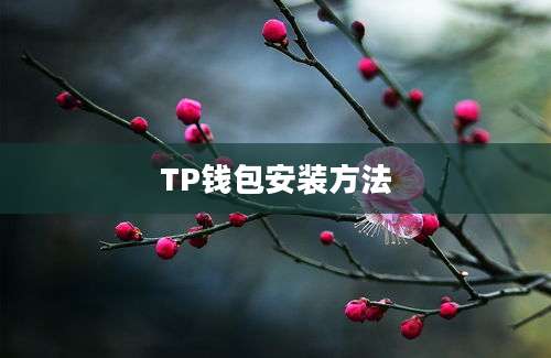 TP钱包安装方法