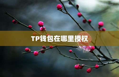 TP钱包在哪里授权