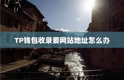 TP钱包收录要网站地址怎么办