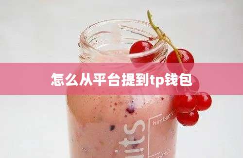 怎么从平台提到tp钱包