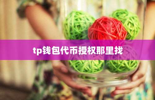 tp钱包代币授权那里找