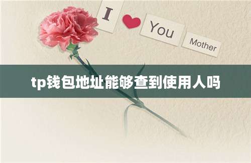 tp钱包地址能够查到使用人吗