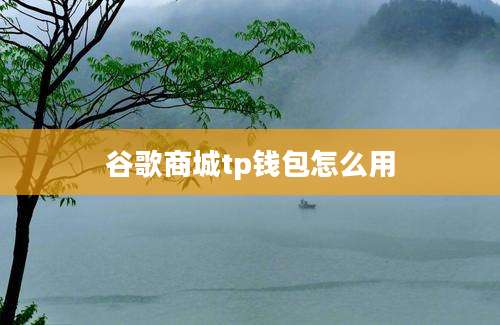谷歌商城tp钱包怎么用