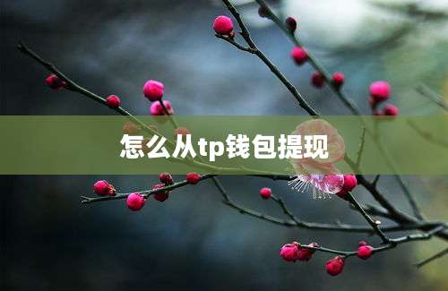 怎么从tp钱包提现