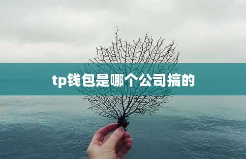 tp钱包是哪个公司搞的