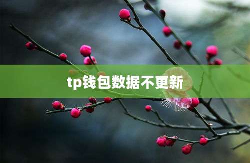 tp钱包数据不更新