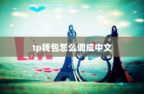 tp钱包怎么调成中文