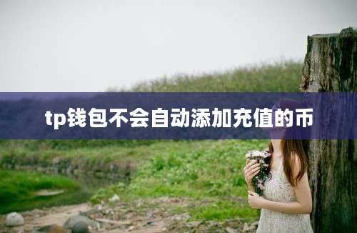 tp钱包不会自动添加充值的币