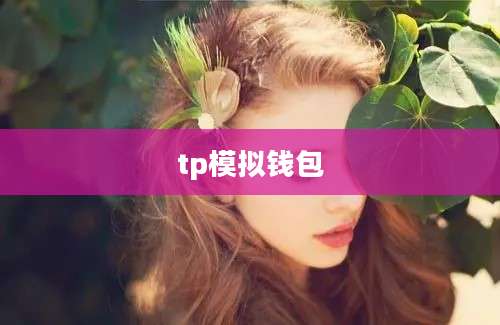 tp模拟钱包