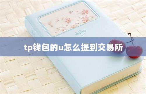 tp钱包的u怎么提到交易所