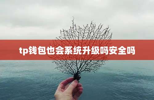 tp钱包也会系统升级吗安全吗