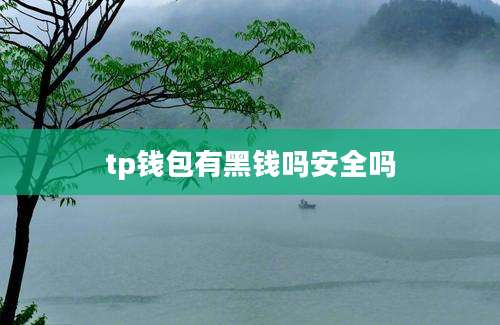 tp钱包有黑钱吗安全吗