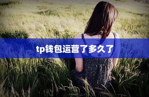 tp钱包运营了多久了