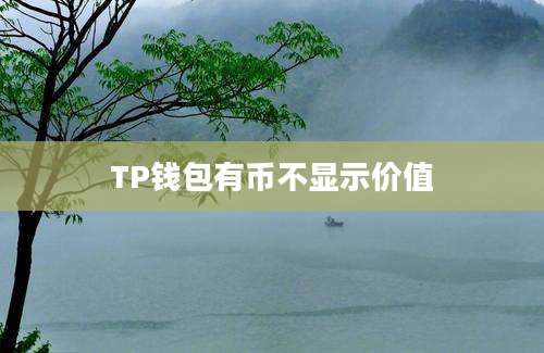 TP钱包有币不显示价值