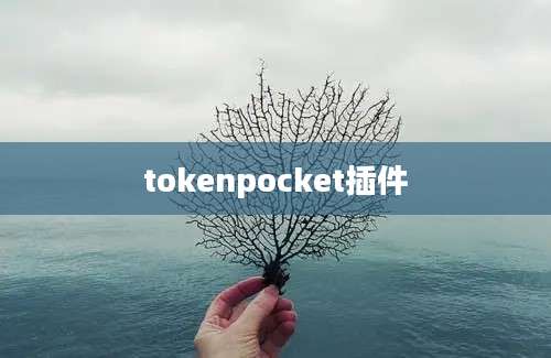 tokenpocket插件