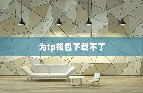 为tp钱包下载不了