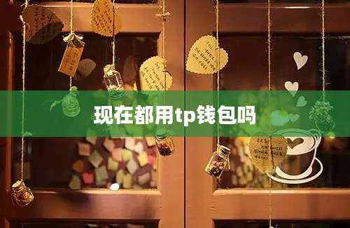 现在都用tp钱包吗