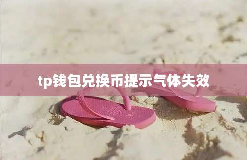 tp钱包兑换币提示气体失效