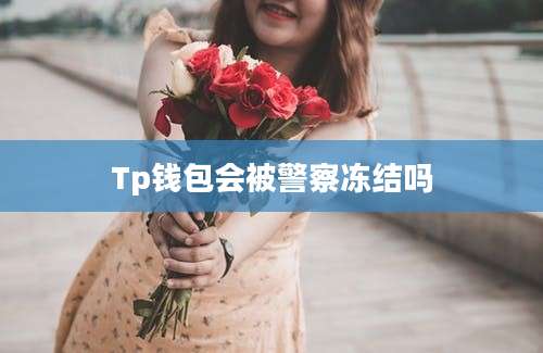 Tp钱包会被警察冻结吗