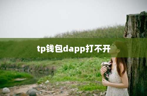 tp钱包dapp打不开