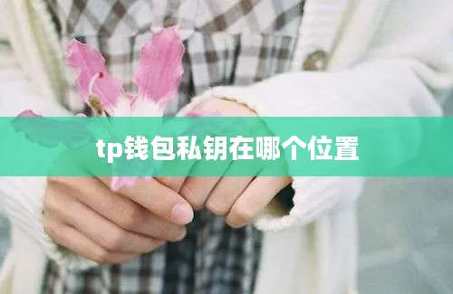 tp钱包私钥在哪个位置