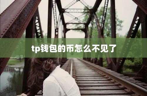 tp钱包的币怎么不见了