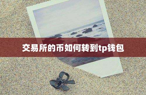 交易所的币如何转到tp钱包