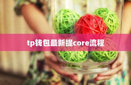 tp钱包最新提core流程