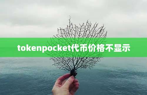 tokenpocket代币价格不显示