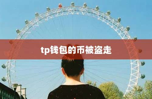 tp钱包的币被盗走