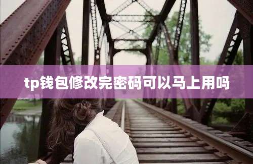 tp钱包修改完密码可以马上用吗