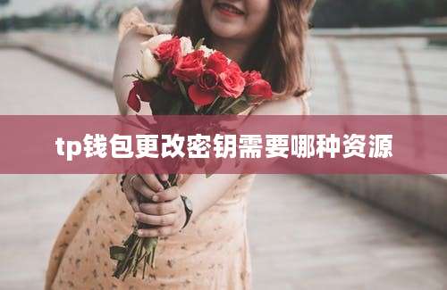 tp钱包更改密钥需要哪种资源