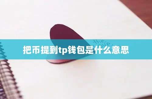 把币提到tp钱包是什么意思