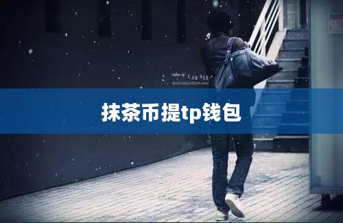 抹茶币提tp钱包
