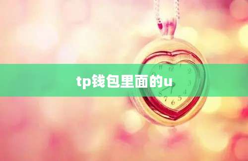 tp钱包里面的u