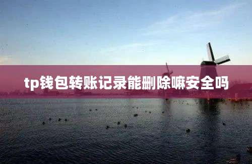 tp钱包转账记录能删除嘛安全吗