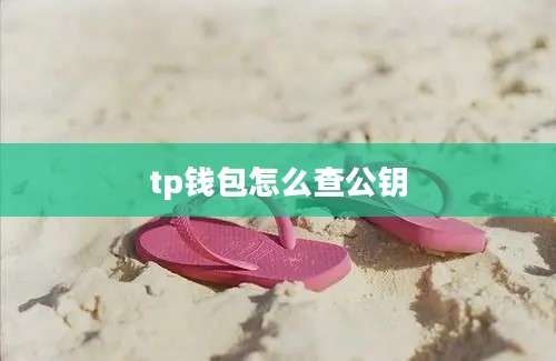 tp钱包怎么查公钥