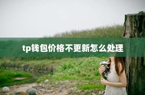 tp钱包价格不更新怎么处理