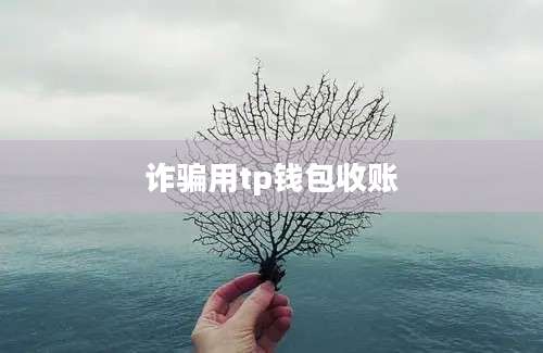 诈骗用tp钱包收账