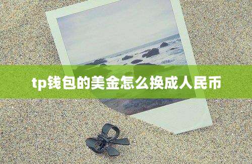 tp钱包的美金怎么换成人民币