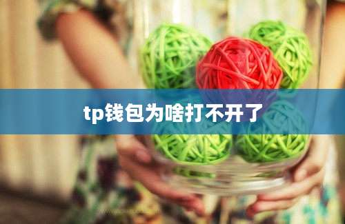 tp钱包为啥打不开了