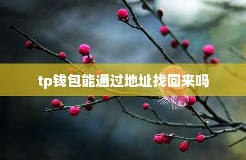 tp钱包能通过地址找回来吗