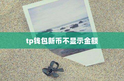 tp钱包新币不显示金额