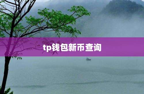 tp钱包新币查询
