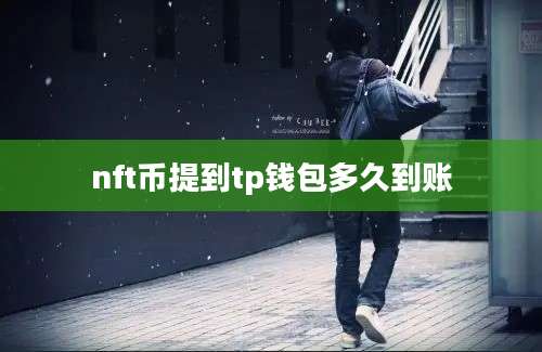 nft币提到tp钱包多久到账